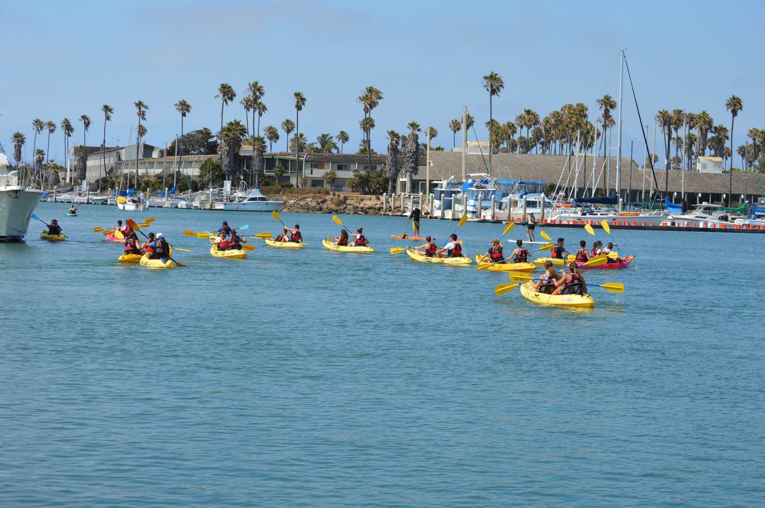 Group kayaking
